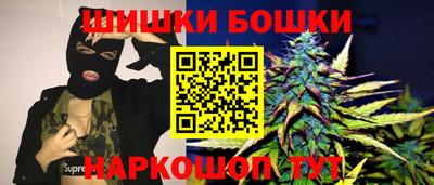 хмурый Кингисепп