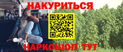 хмурый Кингисепп