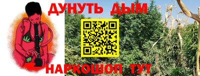 apvp Кинель