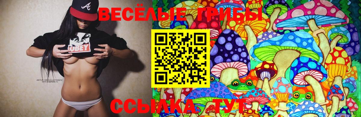 Псилоцибиновые грибы Psilocybine cubensis Костомукша